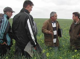 Groupe d'agriculteurs dans un champ en pleine discussion