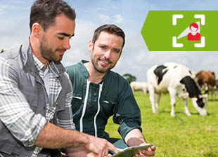 Deux agriculteurs dans un champ avec une vache au second plan